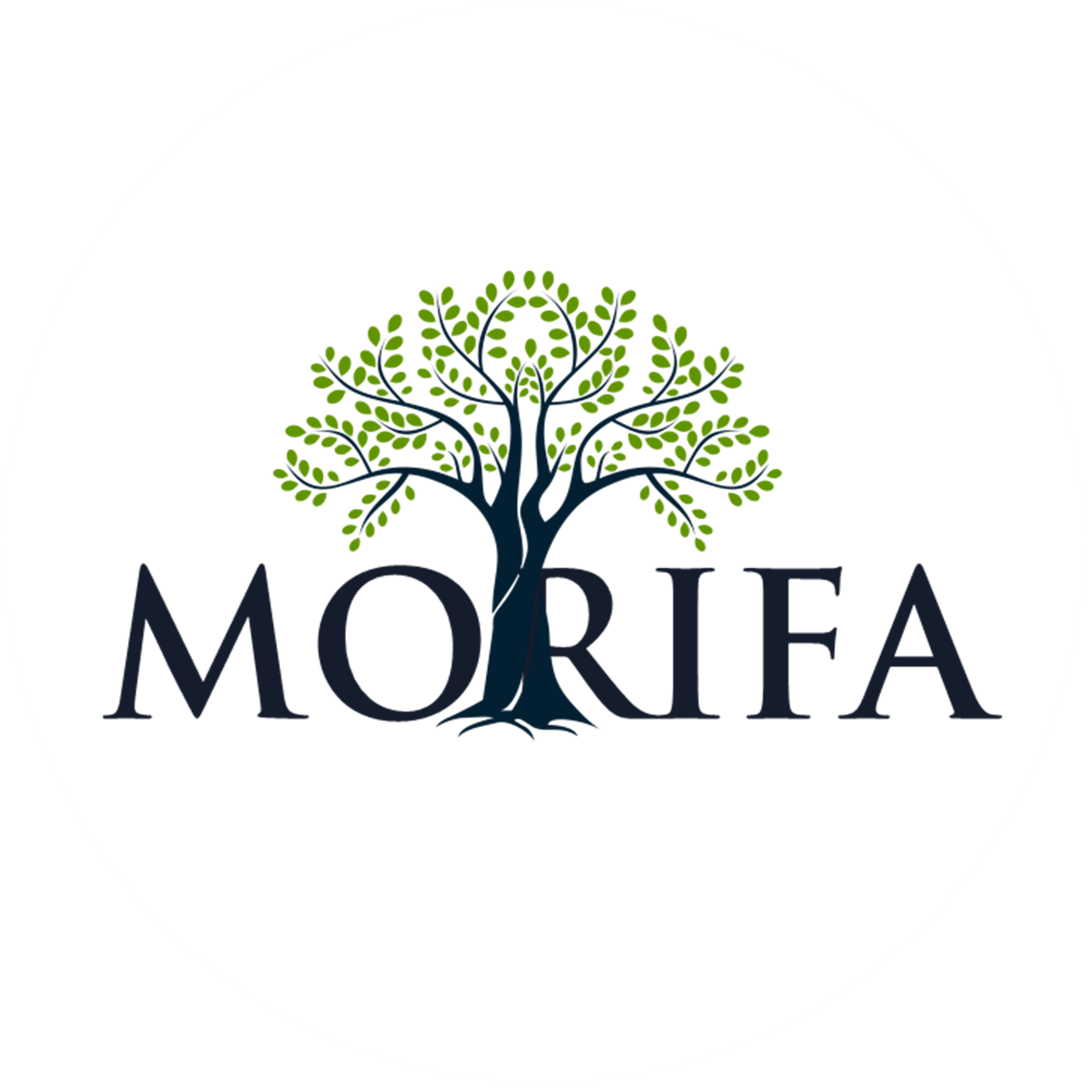 MORIFA – Indonesia's Premier Moringa Specialist