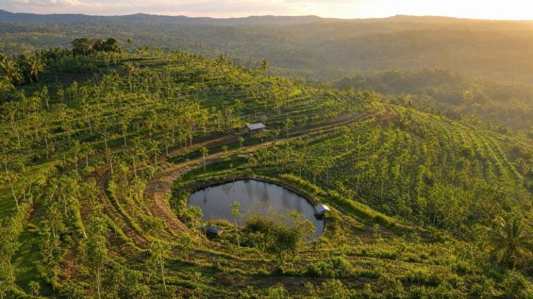 Sustainability Impact Report