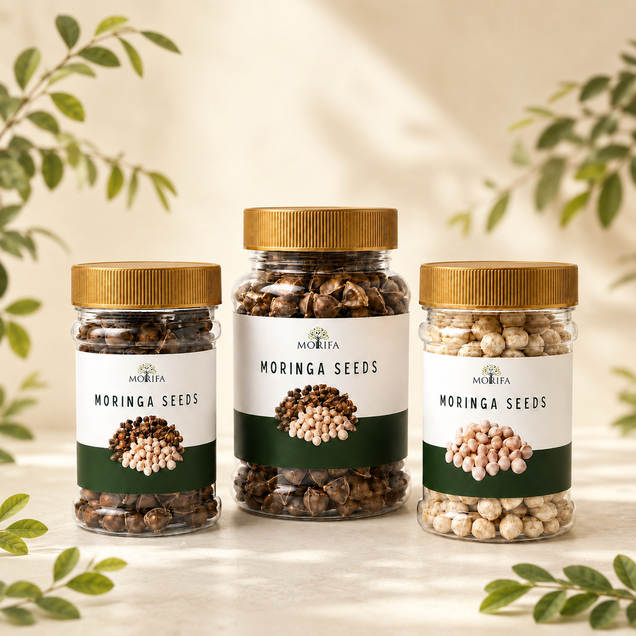 Moringa Seed Snacks